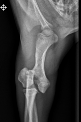 Classify this fracture