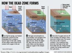 Dead zones are hypoxic (low-oxygen) areas in the world's oceans and large lakes, caused by "excessive nutrient pollution from human activities coupled with other factors that deplete the oxygen required to support most marine life in bottom and ne...