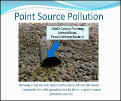 Point source pollution, on the most basic level, is water pollution that comes from a single, discrete place, typically a pipe. The Clean Water Act specifically defines a "point source" in section 502(14) of the Act.