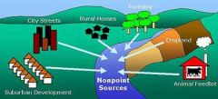 Non-point source (NPS) pollution refers to both water and air pollution from diffuse sources. Non-point source water pollution affects a water body from sources such as polluted runoff from agricultural areas draining into a river, or wind-borne d...