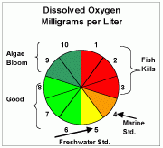 Dissolved oxygen (DO) refers to microscopic bubbles of gaseousoxygen (O2) that are mixed in water and available to aquatic organisms for respiration—a critical process for almost all organisms. Primary sources of DO include the atmosphere and aq...