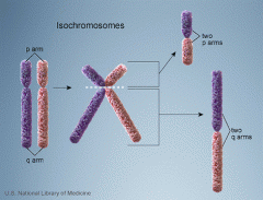 Kromosomet er ikke som normalt spaltet på lang, hvilket medfører, at det får en del af hvert af de to kromatider, enten de to lange eller de to korte arme. 


 


 