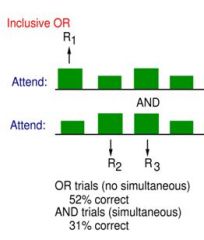 Inclusive OR (IOR): Monitor both channels, simultaneous targets possible

Compare simultaneous targets (AND trials) and nonsimultaneous (OR trials)
