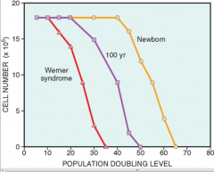 it decreases. In weber's sydrome it is low from the start so those pts age earlier to to more senescent cells