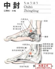 足背侧，当足内踝前，胫骨前肌腱的内侧凹陷处。