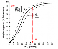 - SaO2 = O2 saturation of Hemoglobin 
- PO2 = O2 pressure in mmHg

- Sigmoidal curve
- At 88% saturation, PO2 is 55 mmHg (normal is 80 mmHg)