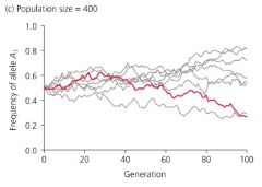 Describe the graph in terms of certainty, pop size, and expected allele frequency