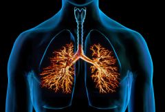 What is the inflammation of the bronchial tubes called? 