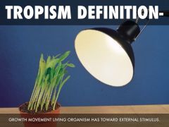 An orientation of an organism to an  external stimulus, as light, especially by growth  rather than by movement  

Relates to K5 because tropism is apart of natural selection