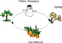The state of being  dormant

Relates to K2 because dormancy is apart of behavioral adaptation