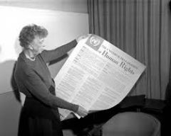 The Universal Declaration of Human Rights. These rights include Political, Civil, Equality, Economic, Social, and Cultural Rights.