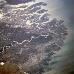 Where the Indus river flows into the Arabian Sea (see below), the sediment at the river's mouth piles up to form a