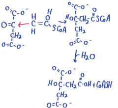 1
Acetyl-CoA (enol) + Oxaloacetate (with H2O) -->
Citrate (with CoA-SH