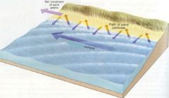 The figure below shows sand moving up the coast in a zigzag pattern. What is the name for this transport of material?