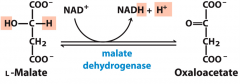 8
Oxidizes NAD+ to NADH + H+