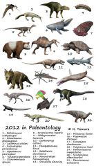 Based on Morphologies from fossil records only

Ex: Long Extinct Animals