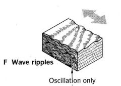 I. Differences
 A. Beach ripples
   1. Symmetrical Stoss and Lee slopes
   2. Peaked crests
   3. Rounded troughs
   4. Cross laminae dip in direction of dominant current flow (onshore)