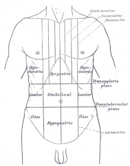 The imaginary plane at the level of the iliac tubercles that crosses L5 posteriorly.