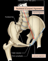 The ligament that connects the inguinal ligament to the pectineal (cooper's) ligament