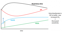 - Theoretically, w/ CO2 retention, the respiratory drive from hypercapnia is diminished
- They must rely on hypoxemic respiratory drive to breathe faster