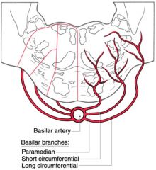 Pontine infarct of paramedian branches of basilar artery