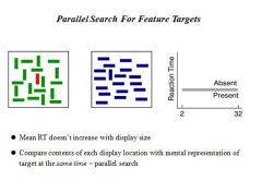 No. This is referred to as parallel search ( where you compare all items of the display at once with your mental representation of the target)