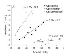 - As PaCO2 increases, so does ventilatory rate
- With CB stimulation, there was a greater increase in RR / change in PaCO2
- With CB inhibition, there was almost no change in RR / change in PaCO2