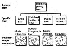I. Grain Flow
II. Fluidized Flow
III. Debris Flow
IV. Turbidity Current