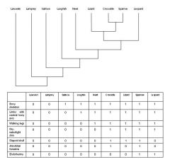 

Consider the phylogenetic tree and the character data given below. How many instances of character state change are required to fit the data to the tree?