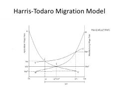 An equilibrium version of the Todaro migration model that predicts that expected incomes will be equated across rural and urban sectors when taking into account informal-sector activities and outright unemployment.  P. 337