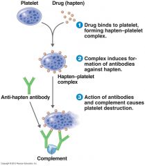 Molecules of a drug such as quinine accumulate on the surface of a platelet and stimulate an immune response that destroys the platelet