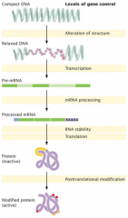 1. gene structure: packaging/accessibility to RNA polymerase (mostly in eukaryotes)
2. transcription: binding of transcriptional activators ("transcriptional control")
3. mRNA processing: rate of exon splicing; alternative splicing
4. translation:...
