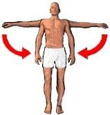 movement of a body part toward the body midline; movement that returns body parts to normal position