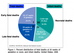 Which of these numbers (I, II, III, and IV) are considered part of "Perinatal Death"?