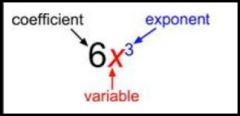The numerical factor of a term that contains a variable.