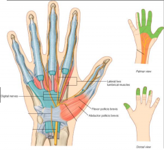 Which nerve in the hand is associated with:
-MOTOR: Thenare eminanace muscles and first two lumbricals

-SENSORY:
3 1/2 fingers