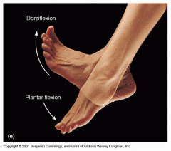 Rotation is the actual movement of the foor
Moment is the result of forces on the foot

Note: Dorsi flexion moment can occur with plantar flexion rotation and vice versa

Rotation and moment are not necessarily the same! 