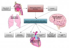 - Arrhythmias (A. Fib)
- Pulmonary HTN
- Vascular disease and MI
- Worsening heart failure
- Systemic HTN and LV Hypertrophy
- Pro-coagulant state