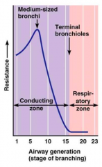 - Respiratory Zone (alveoli)
- For conducting zone it is lowest in the terminal bronchioles due to the vastly greater total cross-sectional area at the end of the “tree”
