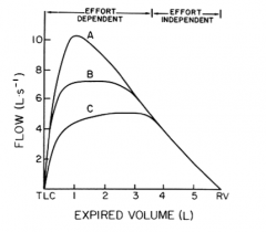 - If you inhale maximally to TLC and force expire maximally, there is an effort dependent phase and an effort independent phase. 
- Shown in this figure is the relationship between lung volume expired (starting at TLC and exhaling to residual vol...