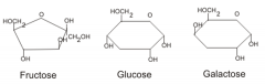 -Simple or single sugars (monomers)
-Glucose, Fructose, Galactose