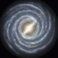 What kind of galaxy is the Milky Way? What kind of stars do you find in the center? What kind of stars do you find in the arms? How much dust and gas is there?