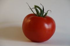Tomato
 
Frederick dislikes tomatoes.