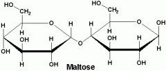 -Malt sugar 
-Glucose + Glucose