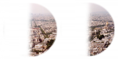 Visual field loss on the left or right side of the vertical midline. Basically it is vision loss on the same side of both eyes. SO if you had a stroke/TIA on the right you would have vision loss on the left.  

*above: Paris viewed in a pt w/ le...