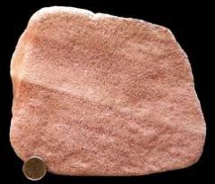 -Detrital
-fragments 1/16-2mm
-Angular feldspar grains make up at least 25% of rock
-Feldspar and quartz commonly impart a light grey to pink or light red color to rock