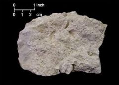 -Chemical
-Effervesces weakly in HCL
-may contain fossils
-resembles various forms of limestone
-color usually tan due to presence of some iron