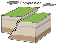force de compression