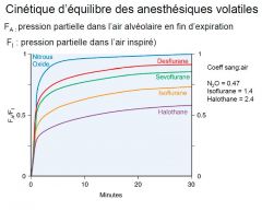 Cinétique d’équilibre des anesthésiques volatiles