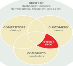 where the company meets customers' needs in a way that rivals can't, given the context in which it competes